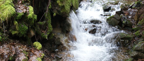 Zufluss Stolln 146 zum Seifenbach im Einzugsgebiet des Wasserkörper Schwarzwasser-1