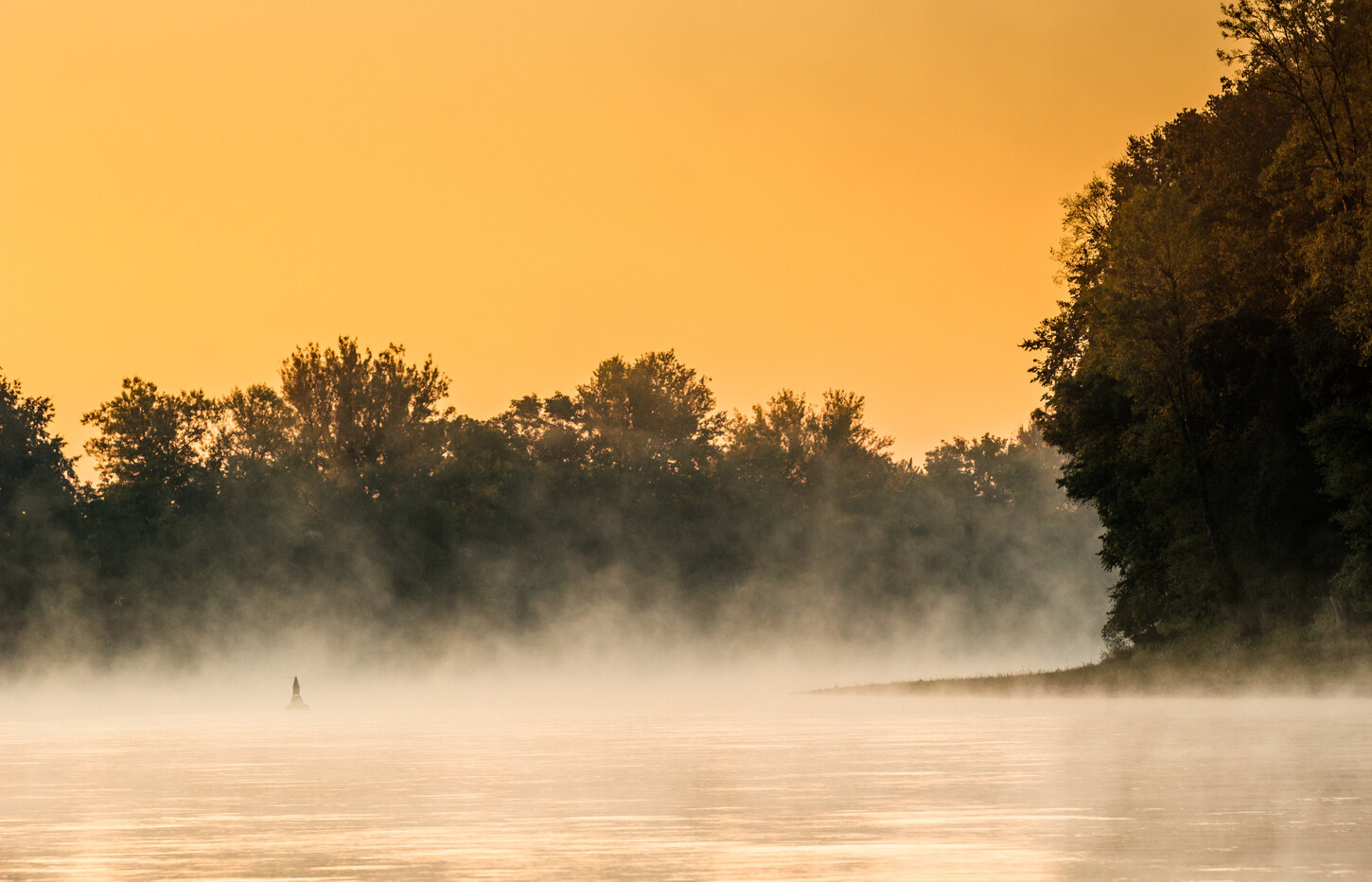 Morgengrauen an der Elbe, Nebel