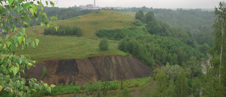 Haldenlandschaft Muldenhütten