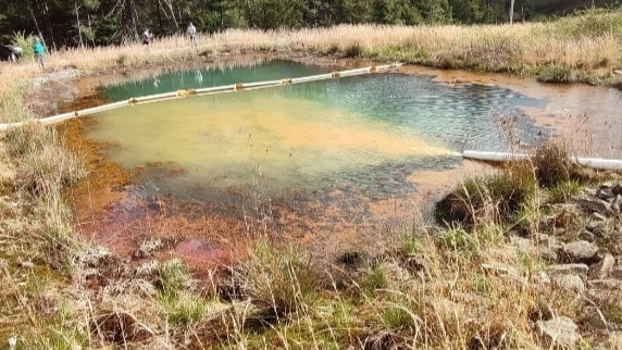 Exkursion auf der IMWA 2024: Wetland zur passiven Behandlung stark eisenhaltiger Wässer in West Virginia