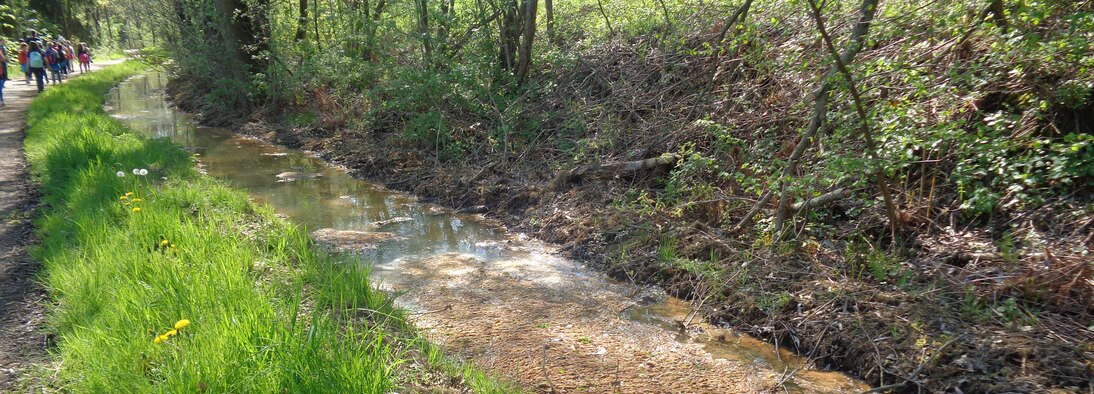 Roter Graben bei Freiberg, der durch Eisenoxid-Schlamm belastet ist