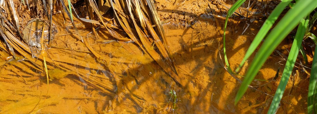 Brauner Eisenhydroxid-Schlamm am Grund des Vincenzgrabens